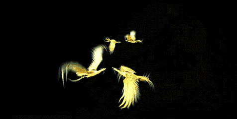 1656397471713245.gif kro54x9yh9.gif